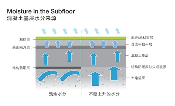【新年新篇】寒潮來臨，再談防水防潮